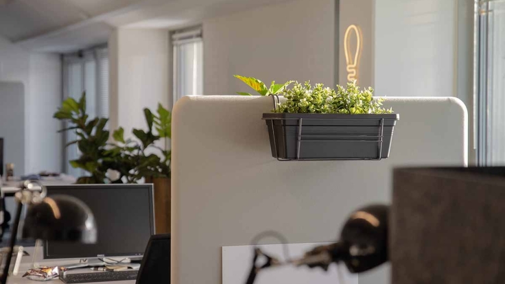 Inviting Spaces for Creativity at GrowAAL EAST.